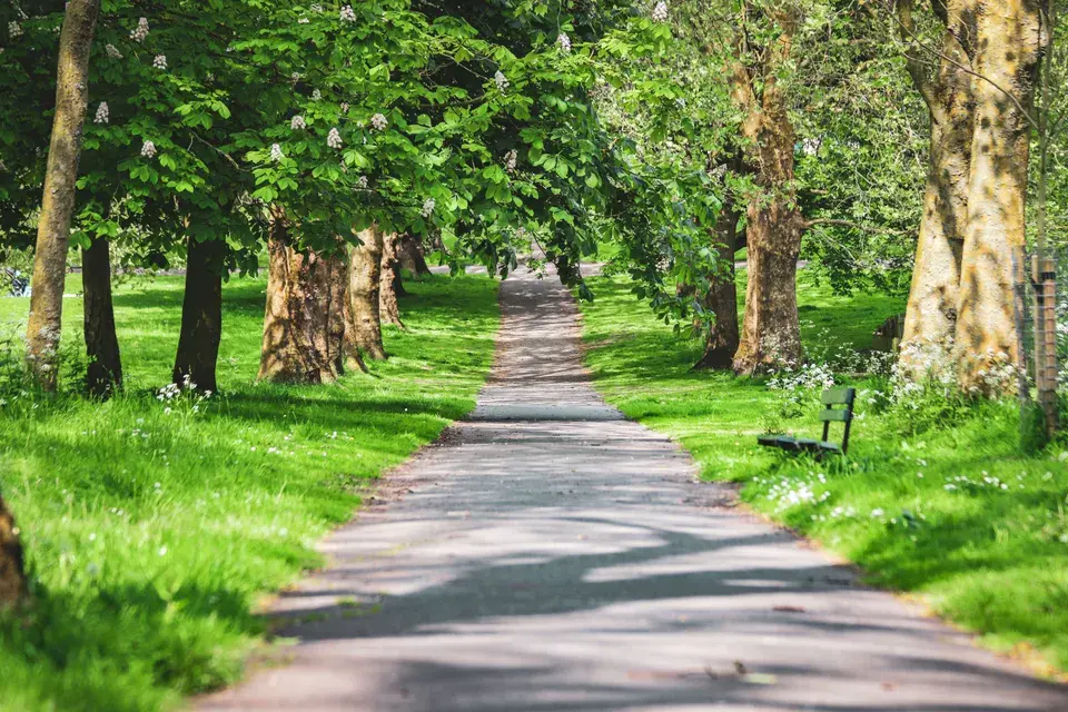About Peculiar, Missouri – Our Local Expertise — Peculiar, MO